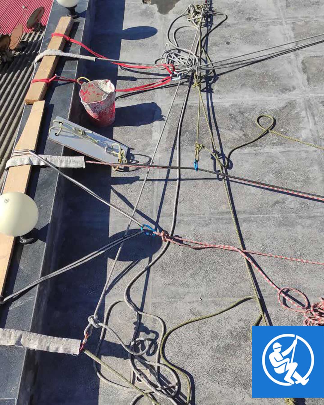 اعضای تیم اوج‌ نماکاران ایرانیان